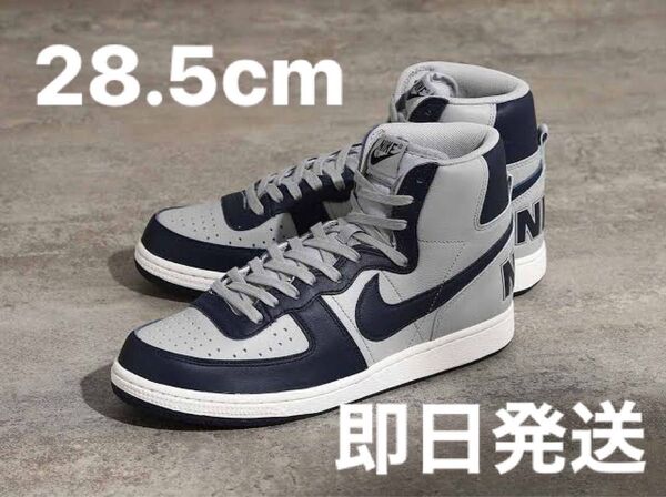 Nike Terminator High Georgetown ナイキターミネーター