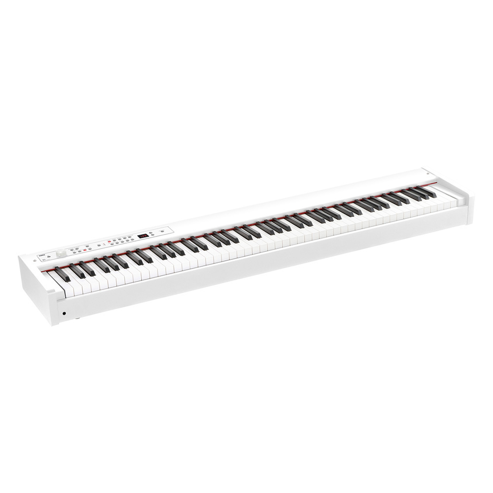 超大特価 KORG 電子ピアノ 関東引き取り限定 D1 鍵盤楽器 - www
