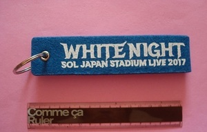 TAEYANG 2017 WORLD TOUR WHITE NIGHT IN JAPAN SOL STADIUM LIVE 　非売品　キーリング キーホルダー　ヨンべ　テヤン