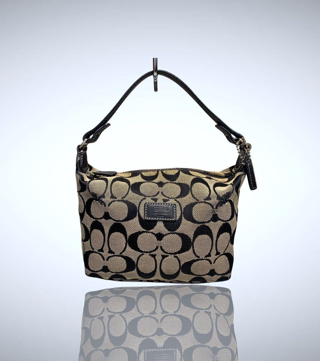 好評再入荷 COACH ポーチ 肩掛け スネーク コーチ バニティ 通販特価