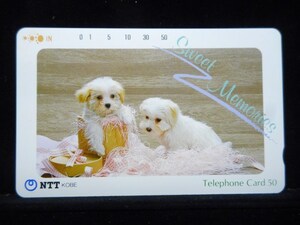 テレカ 50度 Sweet Memories 子犬 ２匹 動物シリーズII 未使用 S-0208