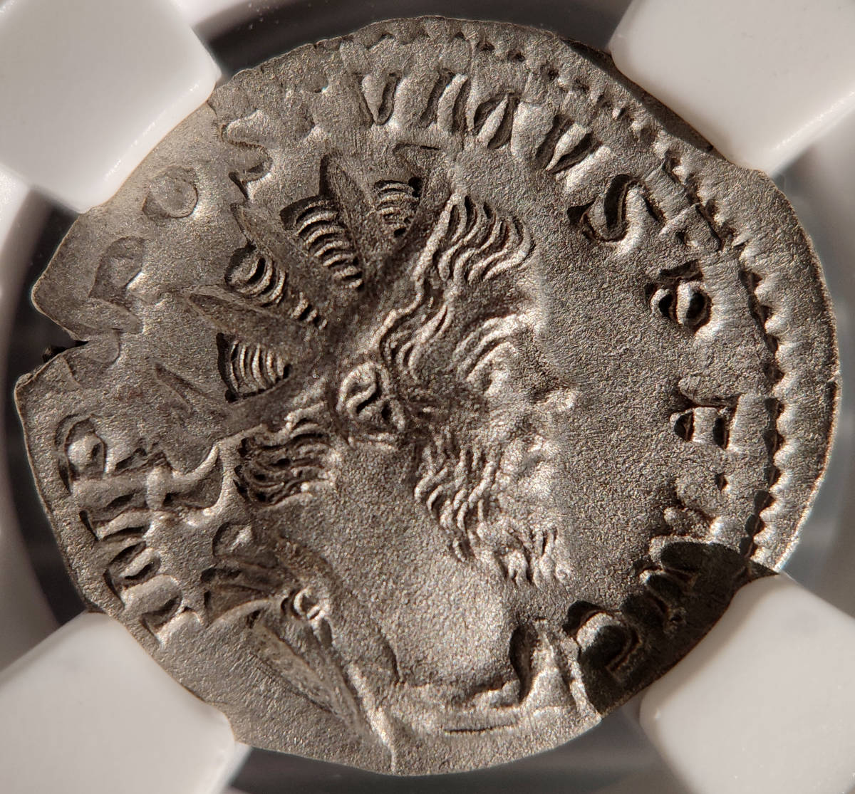 古代ローマ デナリウス銀貨 アウグストゥス帝 19BC