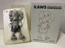 美品 正規品 KAWS Companion Robert Lazzarini Distorted ORIGNAL FAKE カウズ オリジナルフェイク コンパニオン_画像1