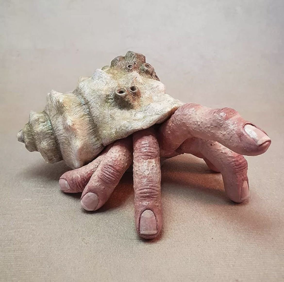 LHH473★Miniature Figure Creepy Interior Object Hand Hand Finger Horror Halloween Hermit Crab Style Finger Crab Style Shell Miscellaneous Goods, handmade works, interior, miscellaneous goods, ornament, object