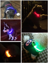 【ペット用品】光る首輪＊LEDルミナスリング（電池式）犬・猫など＊イエロー(M)_画像8