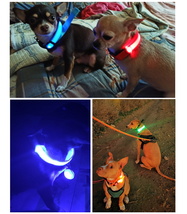 【ペット用品】光る首輪＊LEDブルーXS（USB充電式）犬・猫など＊ルミナスリング_画像8