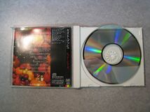 ケイト・ブッシュ　レッド・シューズ　CD　帯付き_画像4