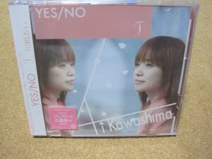 川嶋あい　YES / NO　初回限定盤　CD＋DVD