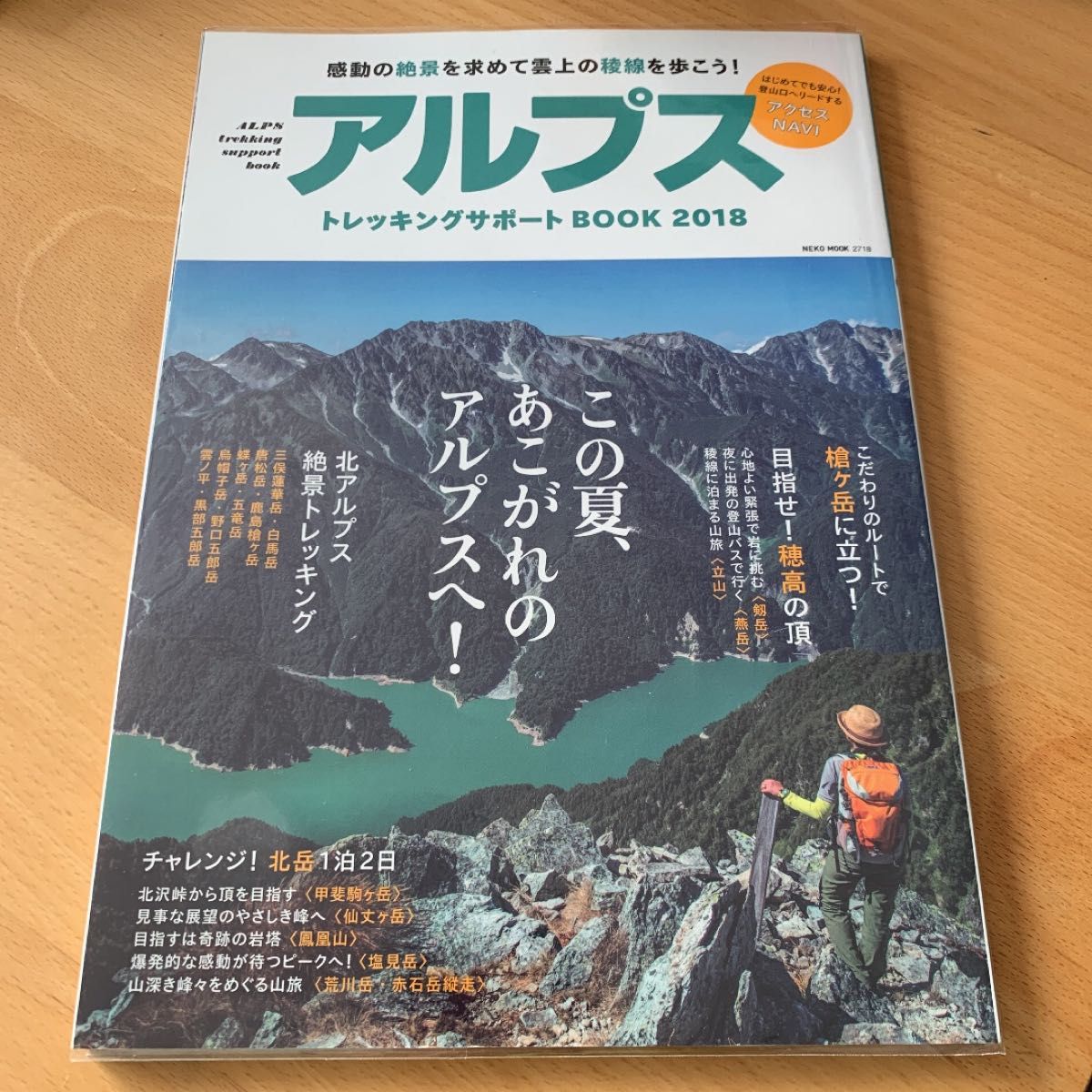 バラ売り)東北の釣り雑誌 シゼンクラブ 絶版 人気の hifimarket.cl