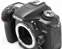 【新品同様の超美品 4527ショット・付属品完備】Nikon ニコン D7500_画像5