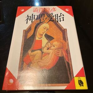 澁澤龍彦 神聖受胎 河出文庫 1991年3版