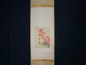 Art hand Auction [प्रामाणिक] लटकता हुआ स्क्रॉल, पूर्ववत, फूल पेंटिंग, रेशमी चाय लटकाना, चित्रकार, चित्रकारी, जापानी चित्रकला, फूल और पक्षी, वन्यजीव