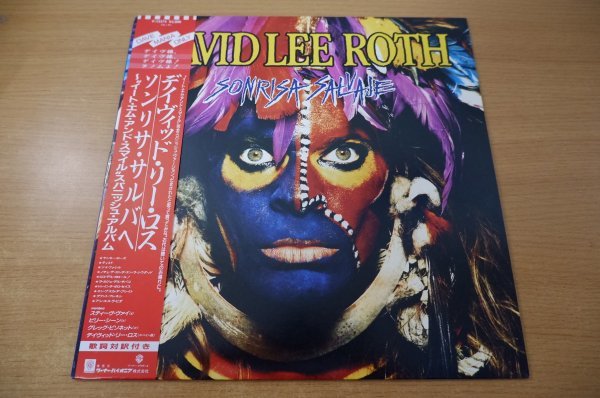 93%OFF!】 デビッドリーロス 1994年発表アルバム アナログ レコード