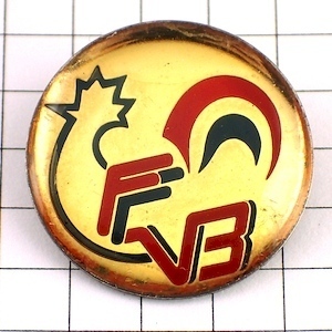  pin badge * chicken male chicken * France limitation pin z* rare . Vintage thing pin bachi