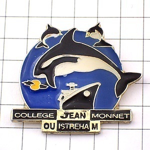  pin badge * dolphin. group .. large passenger boat * France limitation pin z* rare . Vintage thing pin bachi