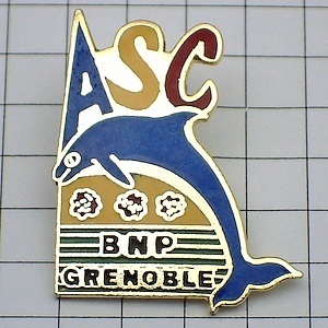  pin badge * dolphin ASC Dolphin BNP Paris ba Bank * France limitation pin z* rare . Vintage thing pin bachi