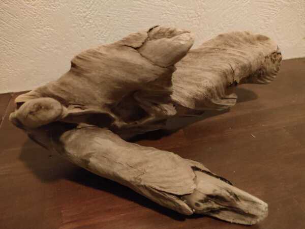 天然流木 大和川 18.5×7.5×10.5cm 一点物 珍品 魚 めだか メダカ 爬虫類 トカゲ ヘビ 水槽 インテリア アート オブジェ