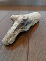 ☆天然流木 水槽 １点物 アクアリウム オブジェ アート 22.5×7×7.5cm 大和川河口 爬虫類 インテリア　　_画像4