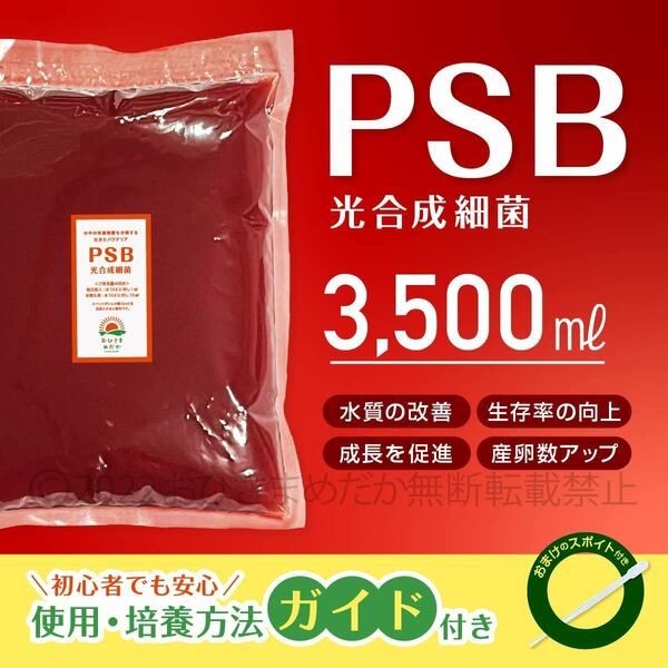 【PSB　光合成細菌　3500ml　送料無料】メダカ 植物　ミジンコ　ゾウリムシ培養　バクテリア　クロレラ　金魚 らんちゅう ベタ　稚魚　に