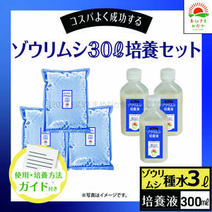 【ゾウリムシ 30L培養セット　送料無料】メダカ めだか 金魚 ミジンコ　らんちゅう　グッピー　ゾウリムシ　クロレラ　 針子　PSB 培養に