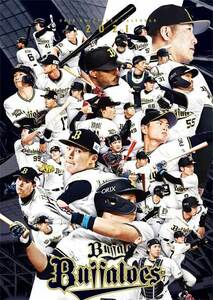 【未使用品】オリックス・バファローズ2021年カレンダー 壁掛け A2 ORIX Buffaloes