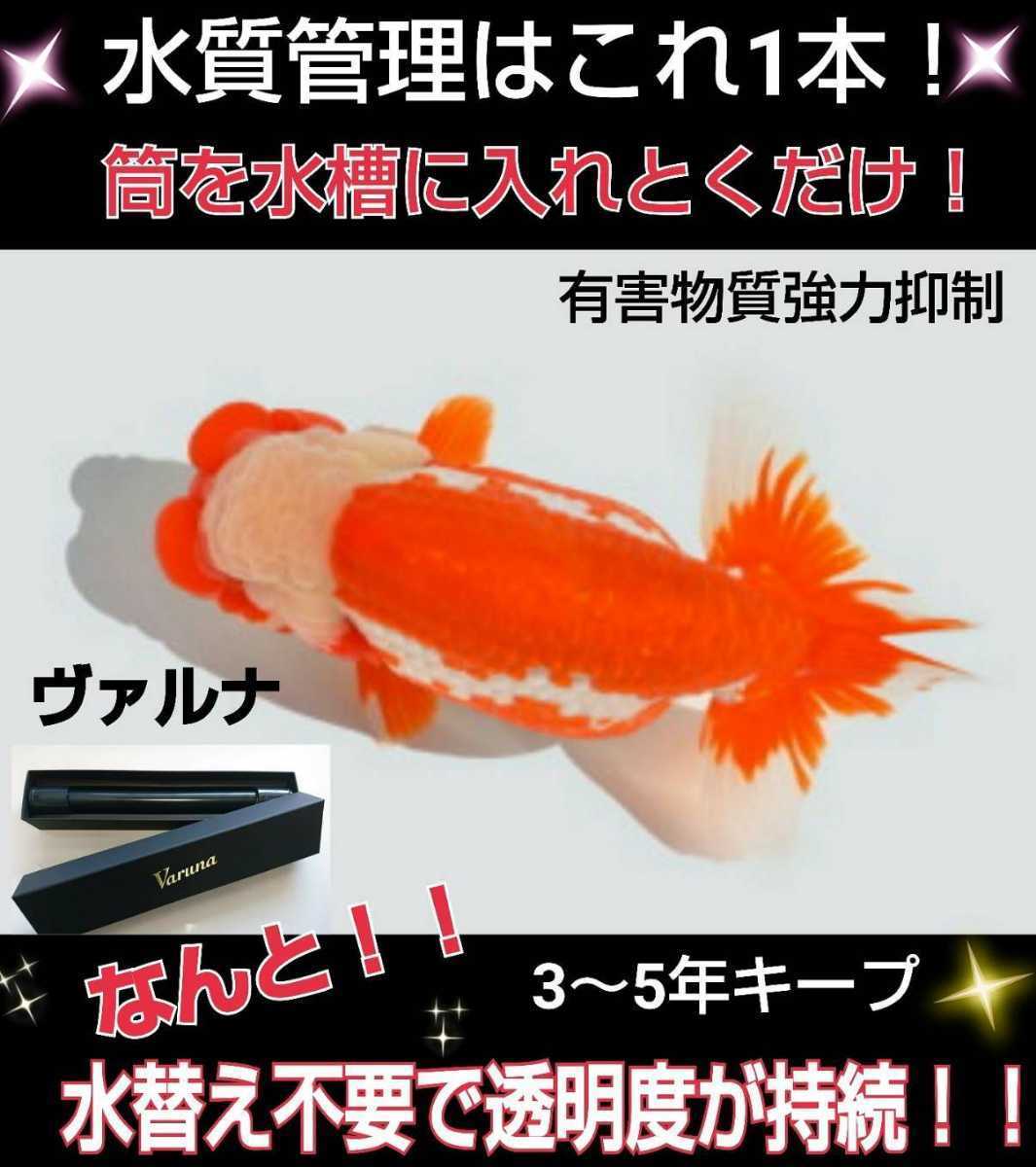 スタンダードタイプ+軟水化浄水器塩素除去 水換え等に|PayPayフリマ