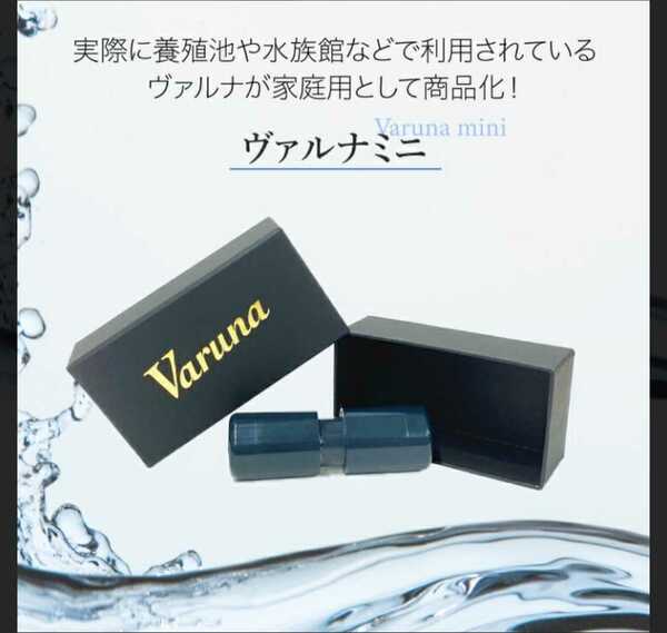 水槽の水が綺麗になります【ヴァルナ8㎝】水替え不要で透明度を抜群に保ちます！有害物質や病原菌も強力抑制☆魚が元気に長生きします！