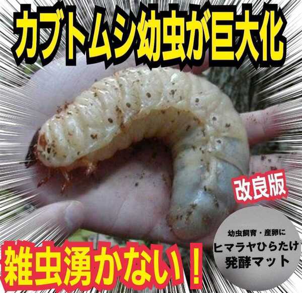 改良版!完全室内製造!雑虫混入100%なし!国産カブトムシに抜群!幼虫が丸々太ります!栄養添加剤入り発酵マット☆チャック付き袋入り!