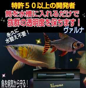 水槽の水が綺麗になります【ヴァルナ23㎝】水替え不要で透明度を抜群に保ちます！有害物質や病原菌も強力抑制☆魚が元気に長生きします！