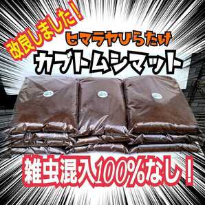 改良版！完全室内製造！国産カブトムシに抜群！幼虫が丸々太る！栄養添加剤配合！発酵マット【3袋】便利なチャック付き袋入　産卵もお薦め