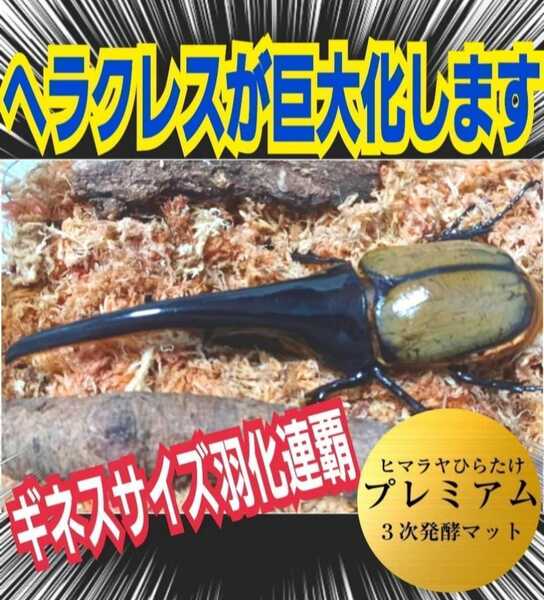 たっぷり360リットル(36袋)極上!プレミアム3次発酵カブトムシマット!産卵にも抜群!トレハロース、キトサン強化配合!便利なチャック袋!