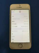 Apple iPhone SE 64GB ゴールド MLXP2J/A A1723 docomo利用制限◯ 初期化済み 画面ヒビあり 動作確認済み iOS13.4.1 IMEI 359145078525235_画像2