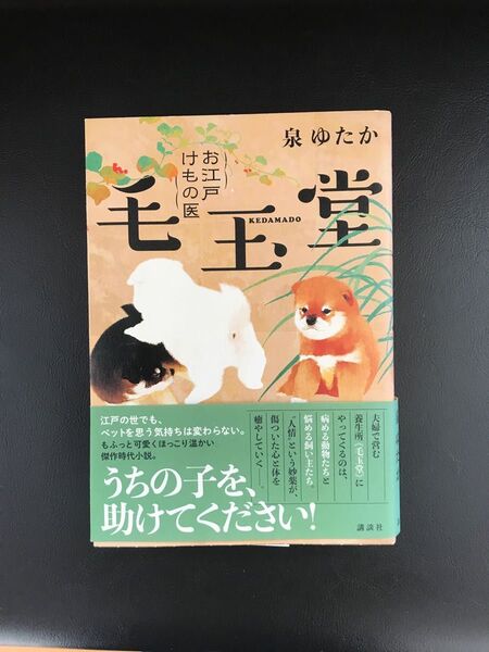 お江戸けもの医毛玉堂 泉ゆたか/著