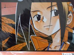 SHAMAN KING クリアファイル 麻倉 葉 （カラー） シャーマンキング