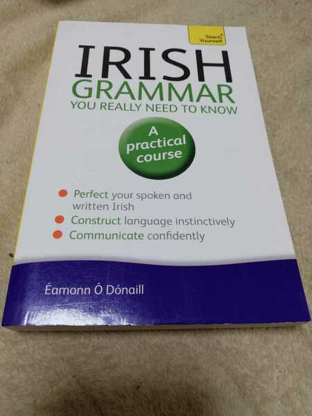 【再値下げ！一点限定早い者勝ち！送料無料】洋書『Irish Grammar』