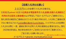 8月13日　直江大輔投手　読売ジャイアンツ G hands ヒーローズプレート 　_画像8