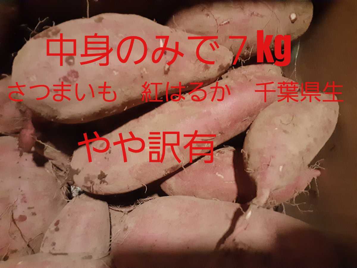 旬の味! 千葉県産 アオヤギ 小柱 20p セット www.nabiztr.com