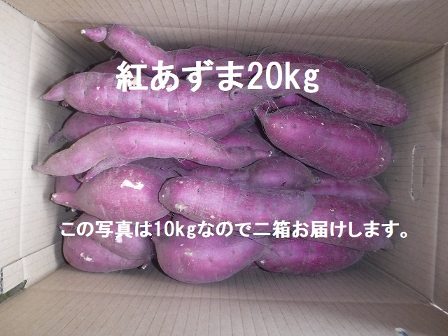 千葉特産 千葉県産 アオヤギ 小柱 5p 1パック 100-150g ...