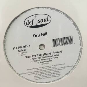 Dru Hill / You Are Everything (Remix)　[Def Soul - 314 562 021-1]