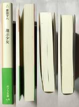 翔ぶ少女 原田マハ ポプラ文庫 2017年 帯あり 絶望の先にある希望を温かく謳いあげる感動作_画像3