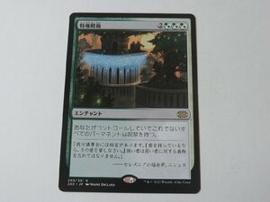 MTG 美品 【特権階級】 （レア） 2X2 日 4枚迄