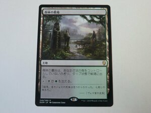 MTG 美品 【森林の墓地】 （レア） DOM 日 1枚迄