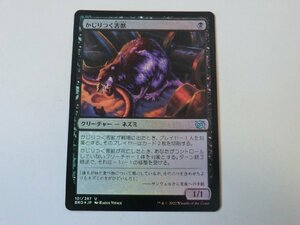 MTG 美品 【かじりつく害獣（FOIL）】 （アンコモン） 兄弟戦争 BRO 日 2枚迄