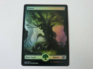 MTG 美品 【フルアートの森（287/287）（FOIL）】 （コモン） 兄弟戦争 BRO 英 7枚迄