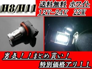 H8 H11 LED バルブ 12V-24V 2323chip ホワイト 22W 白 スーパーホワイト 交換球 1個 12V 24V 定形外郵便 送料無料