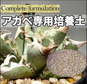  agave cactus ekebe rear exclusive use potting soil specialty shop . feedstocks . prejudice eminent combination . finished ... special selection goods succulent plant general . possible to use!