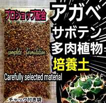 アガベ　サボテン　エケベリア　専用培養土　プロショップが原料にこだわり抜群の配合で完成させた特選品　これ1つあればバッチリ育成OK！_画像1