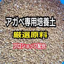 アガベ　サボテン　エケベリア　専用培養土　プロショップが原料にこだわり抜群の配合で完成させた特選品　これ1つあればバッチリ育成OK！_画像3