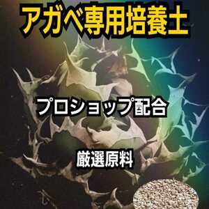 アガベ　サボテン　エケベリア　専用培養土　プロショップが原料にこだわり抜群の配合で完成させた特選品　　多肉植物全般に使えます！