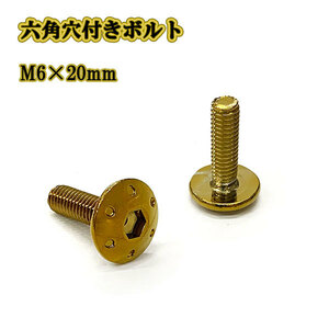 M6 ボルト 20mm P1.0 六角穴付きボルト ステンレス ナンバー フェンダー 車 バイク 外装 ドレスアップ ゴールドカラー